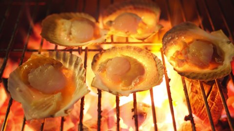 Big fresh scallop shell seafood grill on metal net with charcoal, barbecue in picnin campping Barbecue cooking style