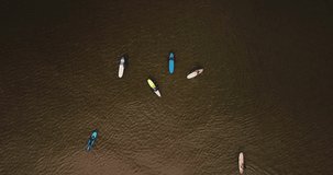 Aerial view of surfers on sandy coastal beach. High quality 4k footage