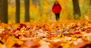 Sport woman jogging outdoors in autumn forest. Morning running. Health and sport concept