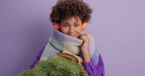 Happy holidays concept. Attractive shy ethnic girl with curly hair dressed in winter clothing carries green fir tree branches going to decorate house for New Year poses against vivid purple background