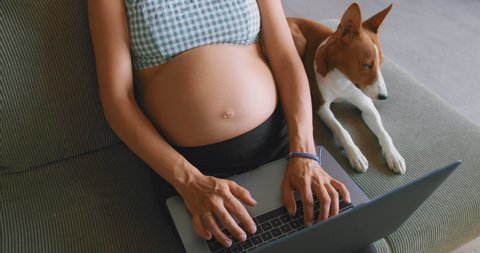 Pregnant Woman Working Remotely with Laptop Computer Using Internet and Online Technology. Pregnant Woman Resting on a Sofa with Laptop Computer at Home. Pregnancy, and Internet Technology Concept