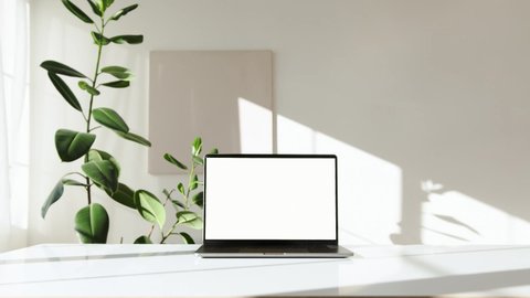 The video shows a beautiful laptop and there are two beautiful trees next to the laptop