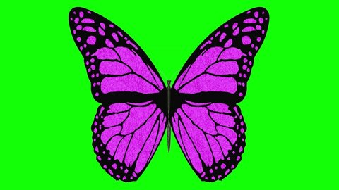 Animated Butterfly On Green Background Stock Footage Video 100 Royalty Free 7698577 Shutterstock