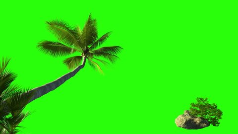 Palm tree and bushes of grass with a stone on a green background. 
3d animation for keying palms near the sea.