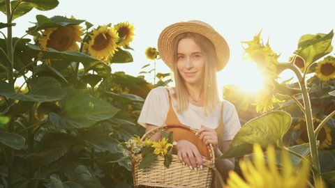 A woman is standing through a field of sunflowers with a basket of flowers in her hands. Sunset. 4K