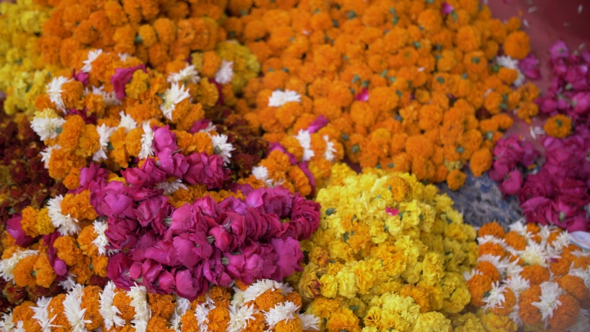 3 Jamanthi Flowers Stock Video Footage - 4K and HD Video Clips |  Shutterstock