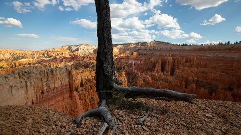 The incredible rock formations at Bryce Canyon National Park. Time Lapse.