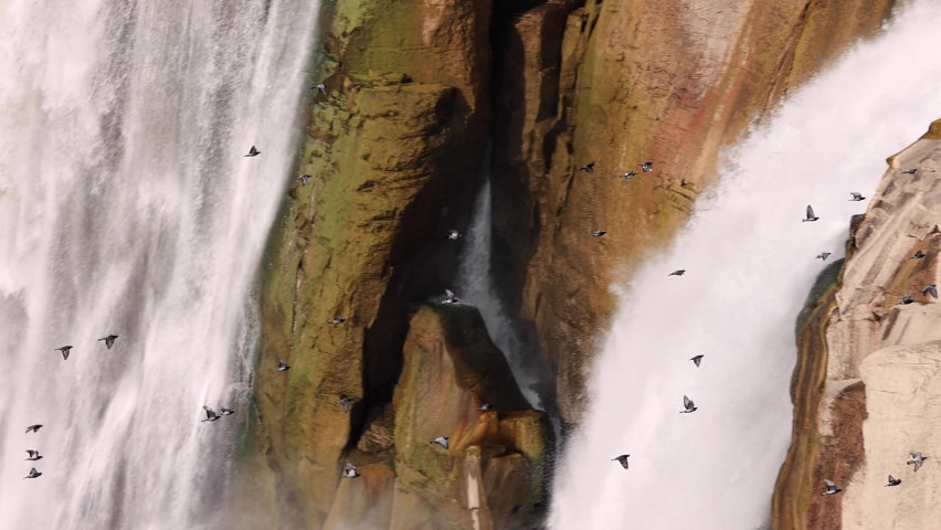 A flock of birds fly past the beautiful Shoshone Falls on the Snake River in Twin Falls Idaho. Slow Motion. Royalty-Free Stock Footage #1063600105