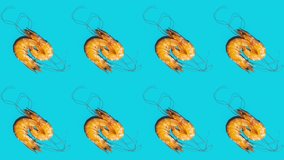 Many tasty shrimps animated on a blue background. Seamless looping food, minimal motion design art with seafood.