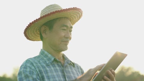 Portrait asian man farmer using digital tablet in agricultural rice field in morning
