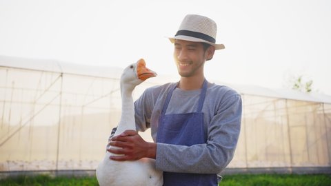 Happy Asian male farmer owner working in his own farm with happiness in the evening sunset. Man holding goose in the farm with smile and proud in their own start up business. Agriculture farm concept.