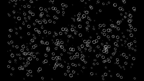 Animated floating air bubbles on black screen and alpha chanel. The release of carbon dioxide. Close up of pouring soda water with bubbles, sparkling wine, champagne or beer. Bubbles rising up. 4K.