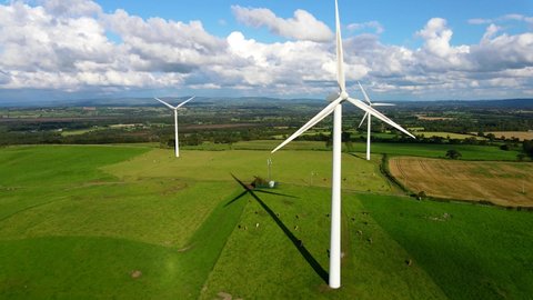 Aerial view over the farm landscape with cows grazing on a green meadow in front of the wind turbines generating clean renewable energy. Renewable energy production for the green ecological world.