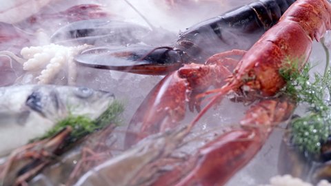 4K UHD Dolly backward: Variety of luxury fresh seafood, Lobster salmon mackerel crayfish prawn octopus mussel and scallop, on ice background with frozen icy smoke. Fresh frozen seafood on ice concept