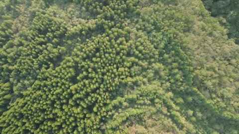 4K Drone View over Lush Trees on a Slope of Hallasan, Jeju Volcanic Island
Hallasan is the main volcanic mountain in Jeju Volcanic Island, a UNESCO World Heritage site.