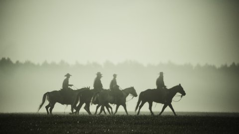Cowboys Men Ride Horses on Foggy Field in Morning Stock Video