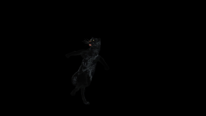 Panther Dancing, 3d rendering, animal realistic, cartoon, Animation Loop,  Included in the end of the clip With Luma Matte. | Shutterstock HD Video #1063704901