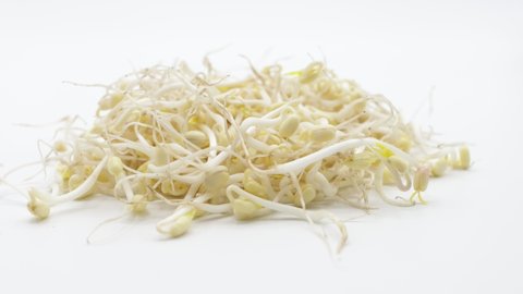 A hand examines some green bean sprouts