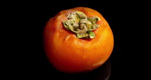 Yellow persimmon on a black background rotting, time lapse, 4k video