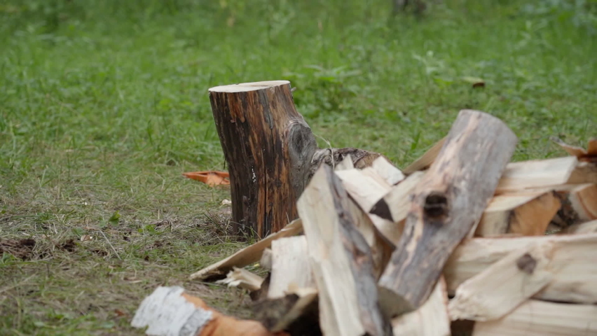 A strong muscular guy chopping wood in a birch forest.