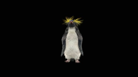 penguin Dancing CG fur 3d rendering. Included in the end of the clip with Alpha matte.