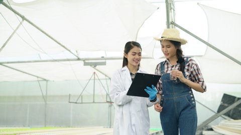 asian farm hydroponic business female Scientists walking and checking green tiny plants in greenhouse with female business owner or customer with rack of plants