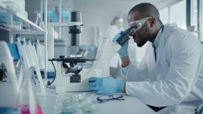 Medical Development Laboratory: Black Male Scientist Looking Under Microscope, Inspecting Petri Dish. Professionals Working in Advanced Scientific Lab doing Medicine, Vaccine, Biotechnology Research | Shutterstock HD Video #1063773790