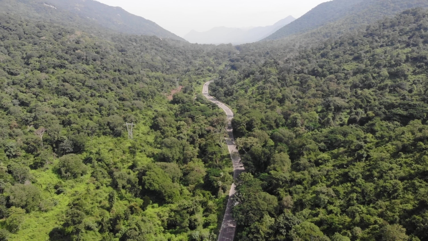 Aerial view of a green forest road in a naturally fresh and relaxing environment, conservation concept, wide shot