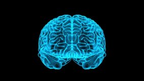 3D Brain Transparent Blue Wireframe Rotating With Alpha Loop, Artificial Intelligence of Medical Science for Anatomy, Element Augmented Virtual, Hologram Futuristic Digital Technology - Powered by Shutterstock - Get 15% off with code: PIKWIZARD15