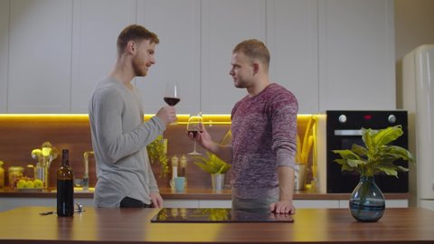 Affectionate handsome male lgbt couple celebrating event, toasting and clinking with glasses of red wine, communicating and bonding while enjoying romantic date indoors.