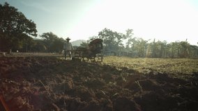 Agriculture's slow-motion scene, a rural Asian using a small tractor or villagers called a steel buffalo to plow the soil to prepare his cultivation, with the light of the sun passing through him.