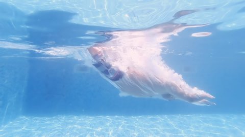 Athletic man head jumping in pool, huge splash with bubbles, underwater view, slow motion