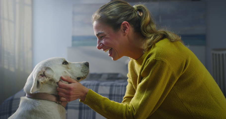 Cinematic close up shot of happy woman is caressing and kissing her pedigree Labrador Retriever dog while having fun together in a cosy bedroom. Concept: love for animals, friendship, happiness, pets | Shutterstock HD Video #1063832089