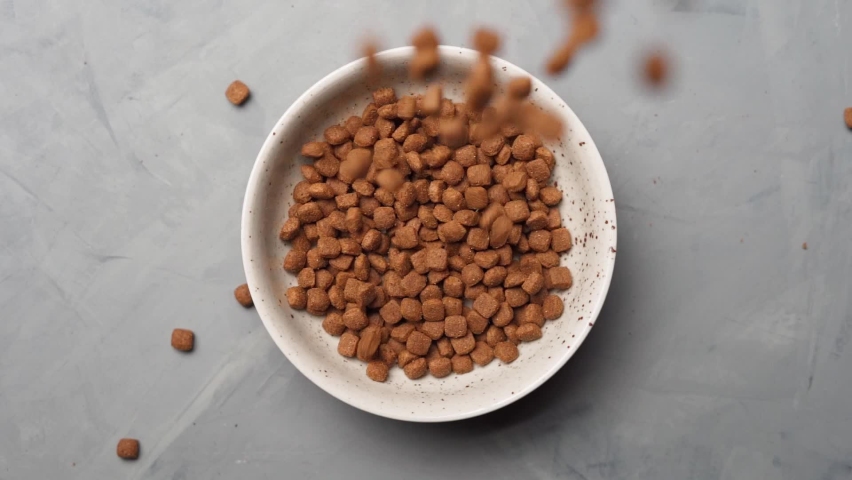 Dry animal feed slowly falls into a bowl, top view | Shutterstock HD Video #1063838491