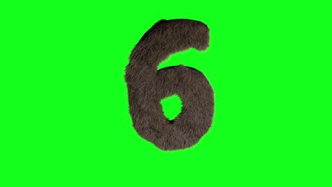 Furry Hairy 3d Number 6 six on green screen chroma key background.Concept of wild,monster,animal,zoo,pet,beast and lot of hairs.