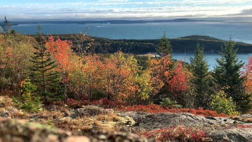 Low angle shot of fall foliage hike from the top of Gorham Mountain Trail in Acadia National Park.