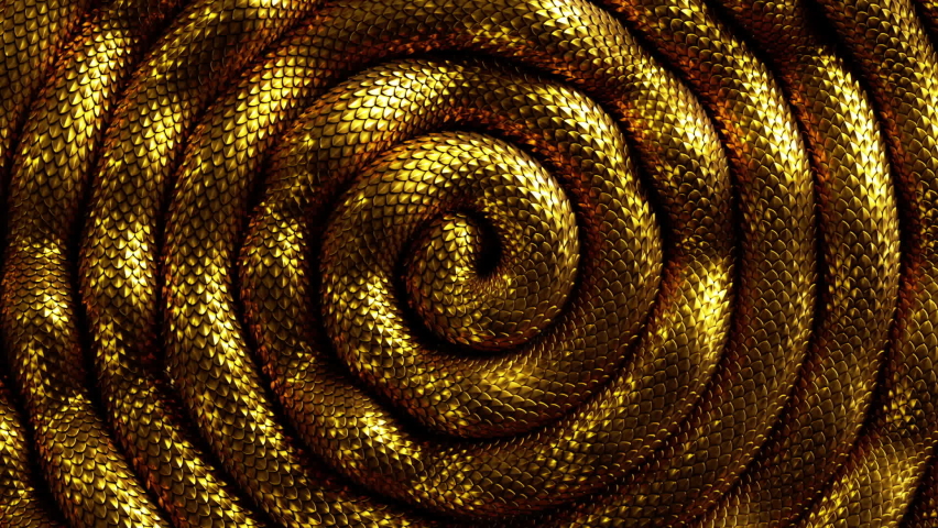 Abstract spiral 3d background with shiny golden snake moving, shiny skin scales texture looping animation. | Shutterstock HD Video #1063877134