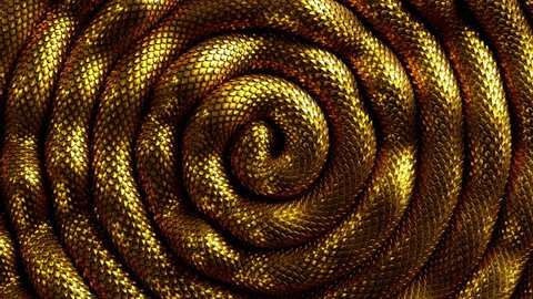abstract spiral 3d background with shiny golden snake moving, shiny skin scales texture looping animation.