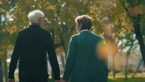 Back view of elderly couple holding hands while walking together in park . Rear view of romantic senior couple resting , relaxing in nature . Happiness people lifestyle . Slow motion footage .