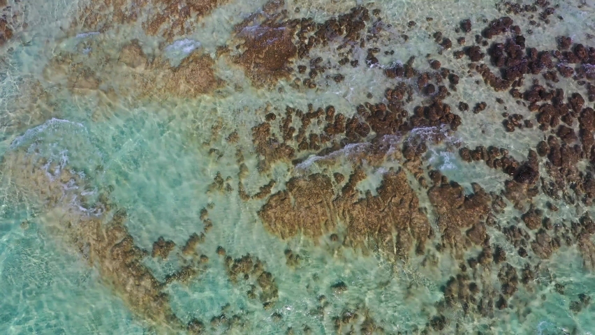 Stromatolites Stock Video Footage - 4k And Hd Video Clips 