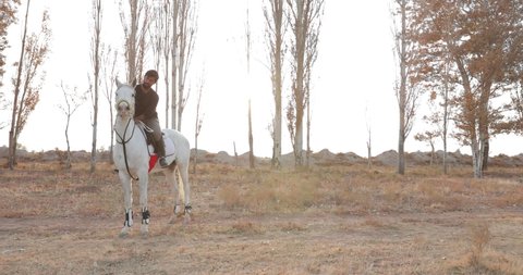 White horse and brunette man. They stroll in autumn nature at sunset. The white horse and man quickly come and enter the camera frame.