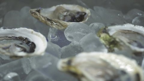 Skilled chef hand puts delicious fresh opened oyster on tray with pile of ice cubes on table in restaurant at bright light extreme close view slow motion.
