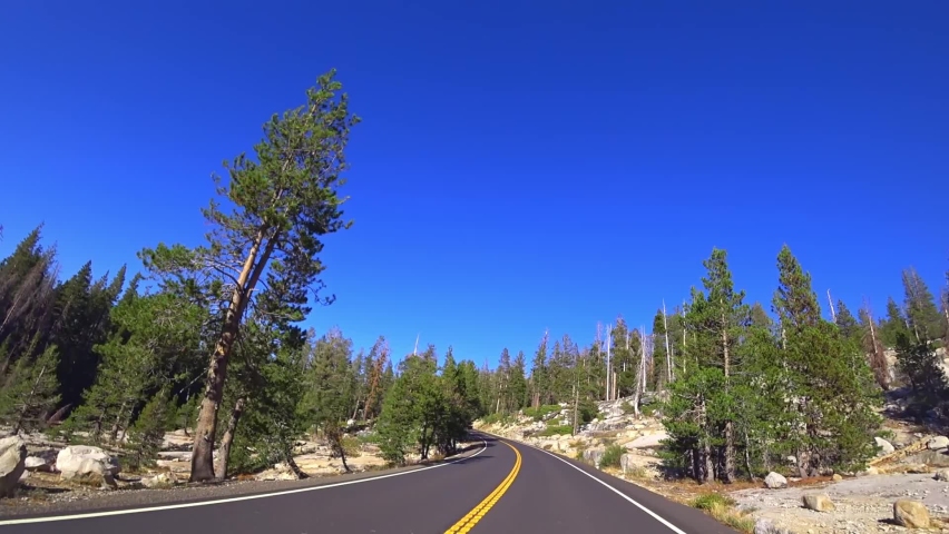 A beautiful scenic road in Yosemite National Park, California