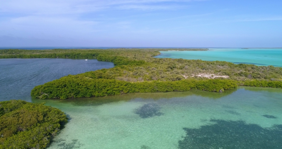 Green mangrove forest Aerial view, Camera Moving forward Along The Shore Los Roques Venezuela.