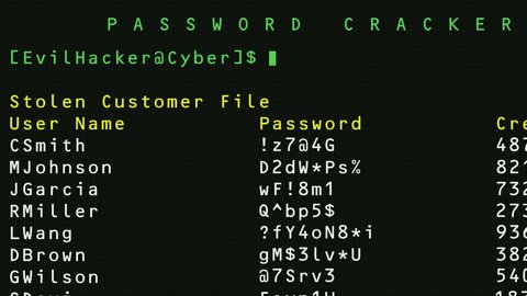 Hacker Running a Password Cracker to Decrypt Stolen Passwords and Credit Card Numbers