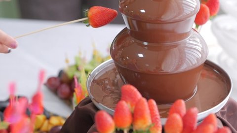 Hand dips strawberries on a stick in melted chocolate. Chocolate fountain.