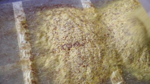 Stone-ground wholemeal maize flour on the filter grid