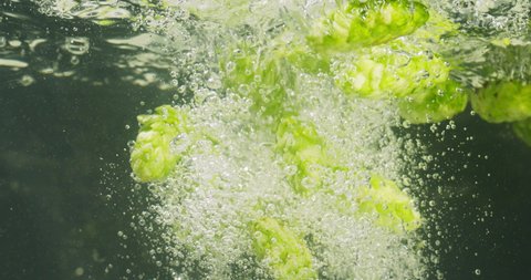Hops In Water. Hops In Water Close-Up. Preparation Of Hop Mash. Green Hops Falling Into Water