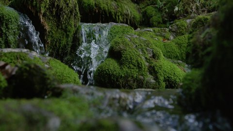 SLOW MOTION, CLOSE UP, DOF: Glistening crystal clear stream water glides over mossy rocks. Close up view of a river coursing along the moss covered rocky riverbed in heart of gloomy forest in Slovenia