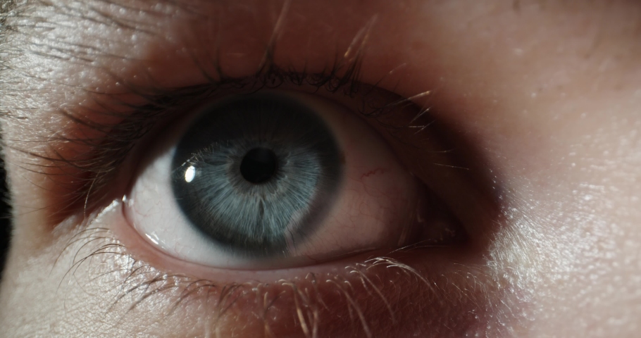 Shutterstock video thumbnail